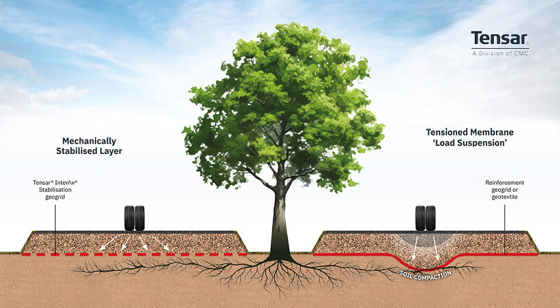 Tree-Root-Blog-Graphic-2-(1).jpg